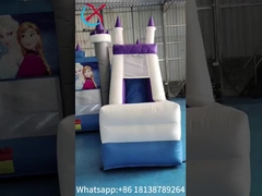 Venta caliente Inflable Salto Casa congelada dibujos animados Inflable tobogán para la fiesta Inflable Combo Castillo