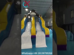 Deslizamiento seco inflable castillo doble deslizamiento deslizamiento gigante inflable dibujo animado de tiburón para niños y adultos