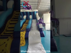 Este nuevo tobogán doble seco inflable con tema de pulpo oceánico ofrece una experiencia de juego divertida y única.