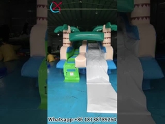 Deslizadores inflables comerciales de palma inflables de agua secas para exteriores