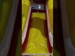 El zoológico de la ciudad de la diversión inflable casa de salto inflable castillo de toboganes