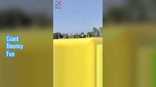 Diversión con almohadilla hinchable gigante